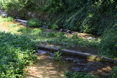 Dsc 1457