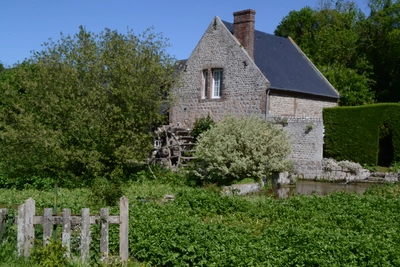 Dsc 1460
