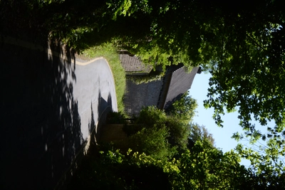 Dsc 1476