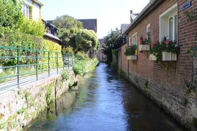Dsc 1537