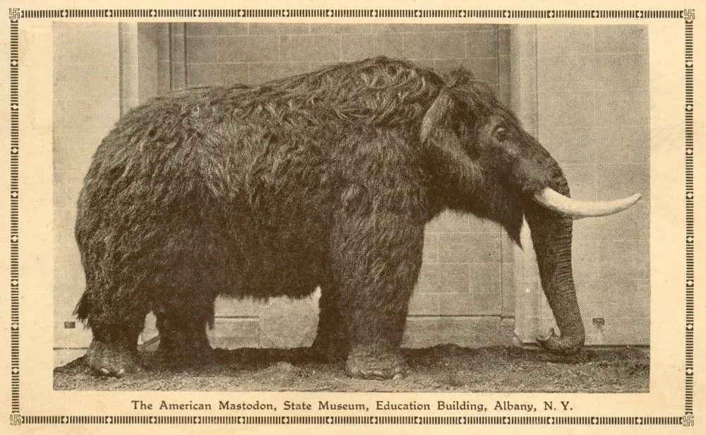A Mastodon