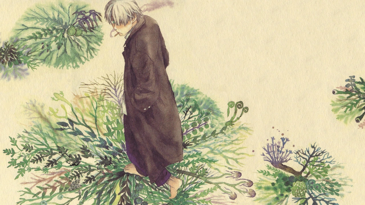 a picture from Mushishi