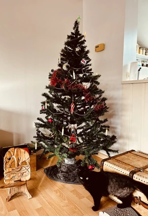 Notre sapin de Noël